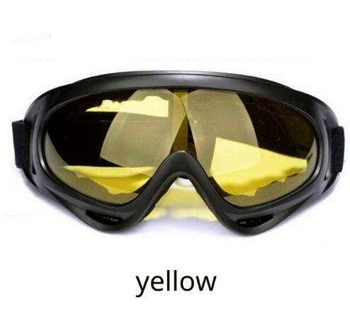 Ski Goggles