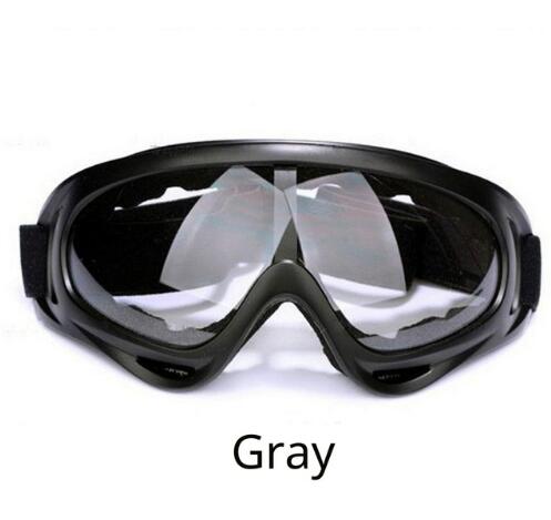 Ski Goggles