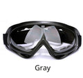 Ski Goggles