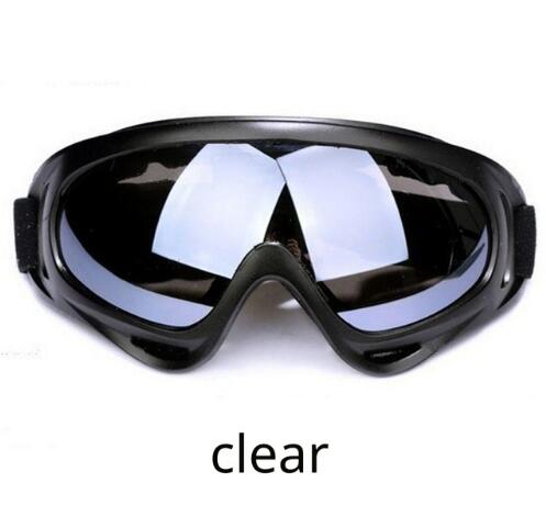 Ski Goggles
