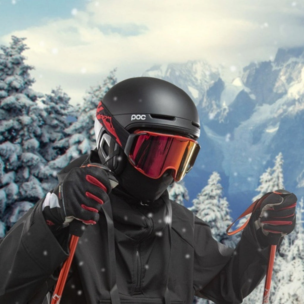 Ski Goggles