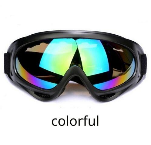 Ski Goggles