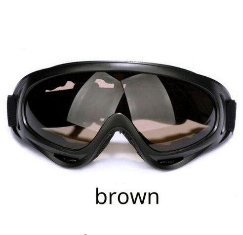 Ski Goggles