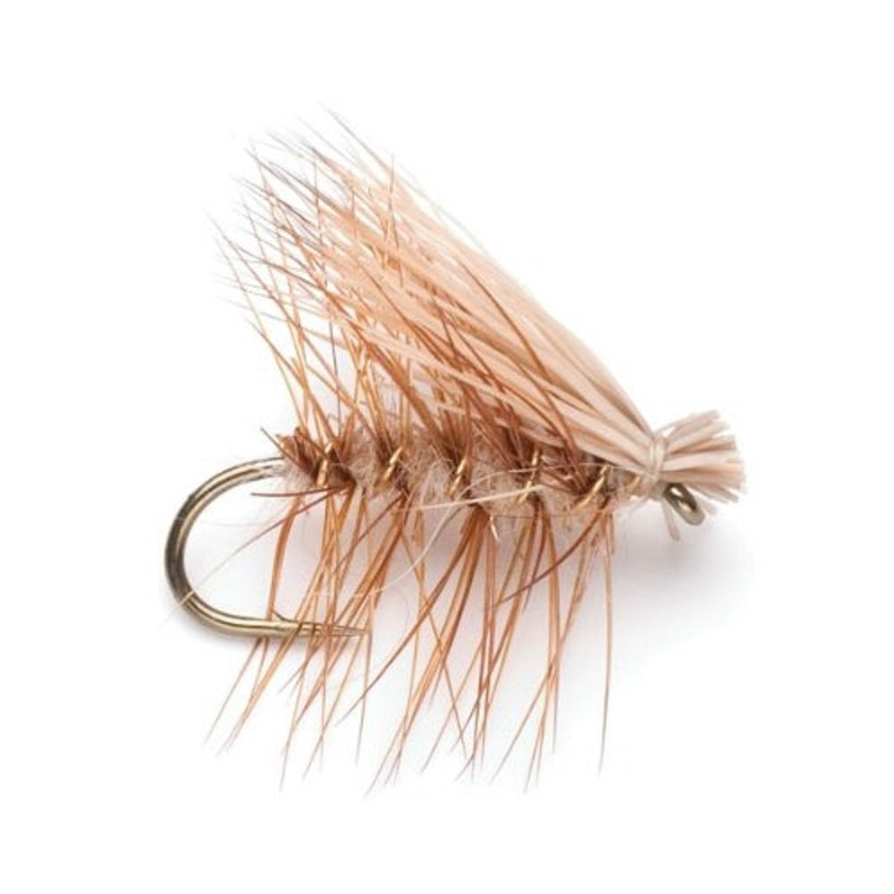 Trout Fly Assortment - 2 Dozen Trout Flies with Fly Box