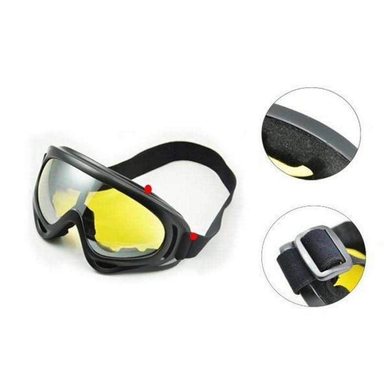 Ski Goggles