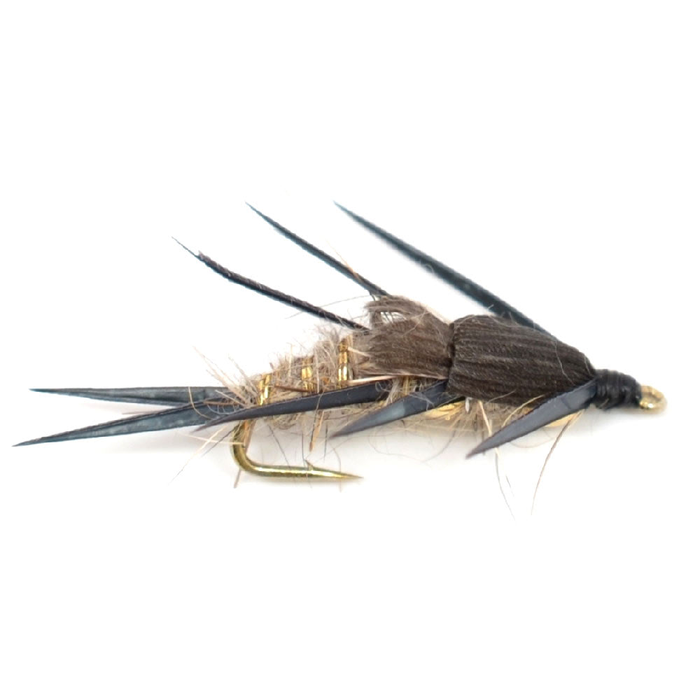 Trout Fly Assortment - 2 Dozen Trout Flies with Fly Box