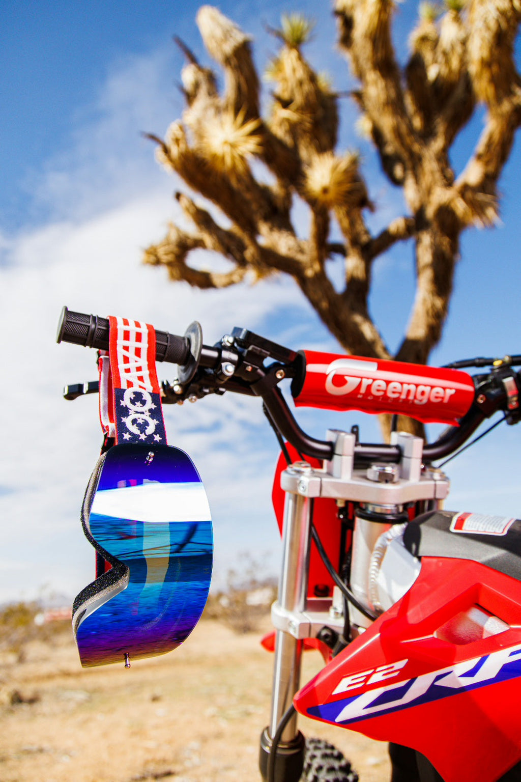 Youth USA Ski Goggles
