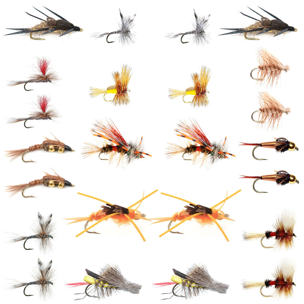 Trout Fly Assortment - 2 Dozen Trout Flies with Fly Box