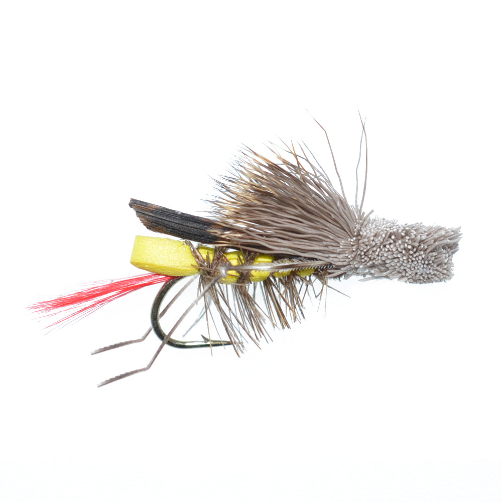 Trout Fly Assortment - 2 Dozen Trout Flies with Fly Box